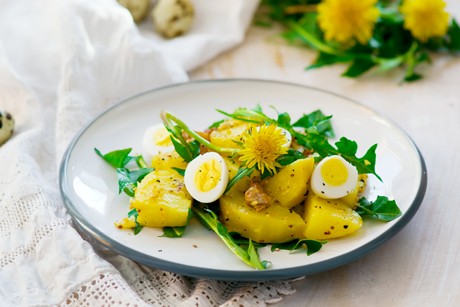 Kartoffel-Löwenzahn-Salat