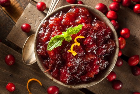 Preiselbeer-Sauce