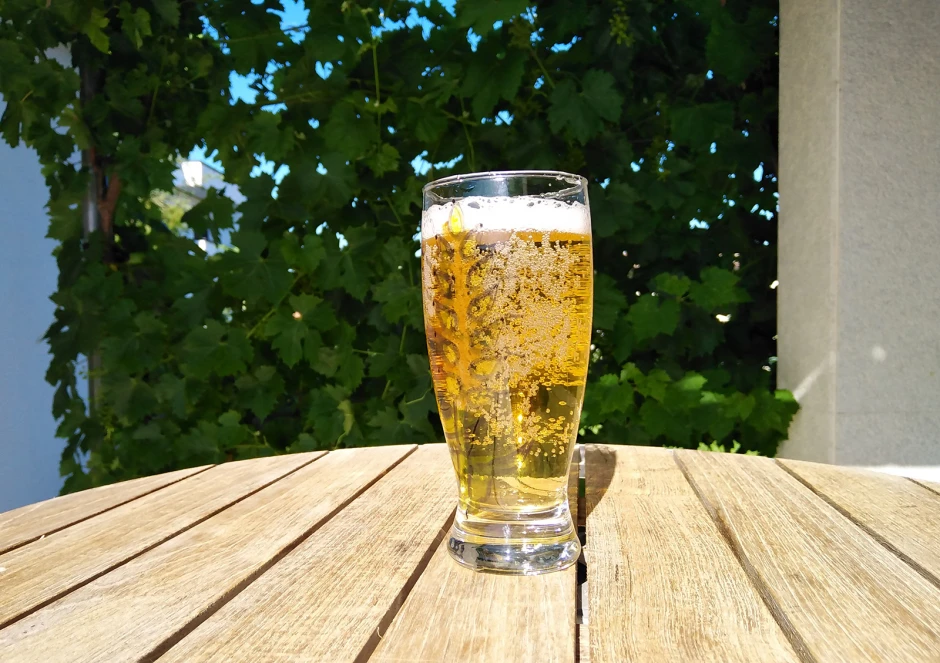 Saurer Radler