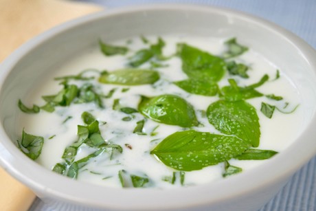 Basilikum-Suppe