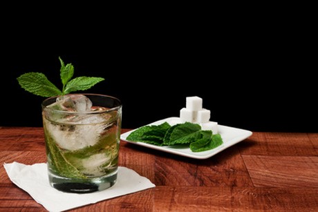 Bourbon Mint Julep