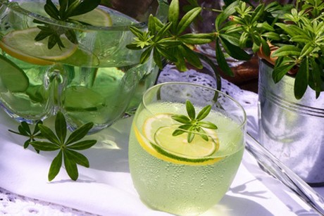 Waldmeister Sirup