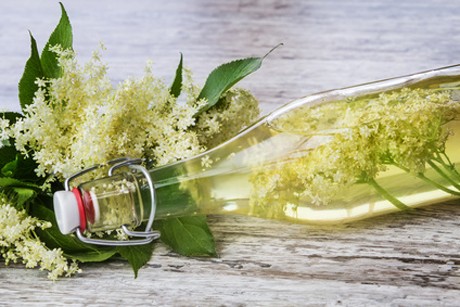 Holunderblütensaft