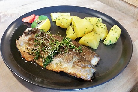 Gebratener Saibling