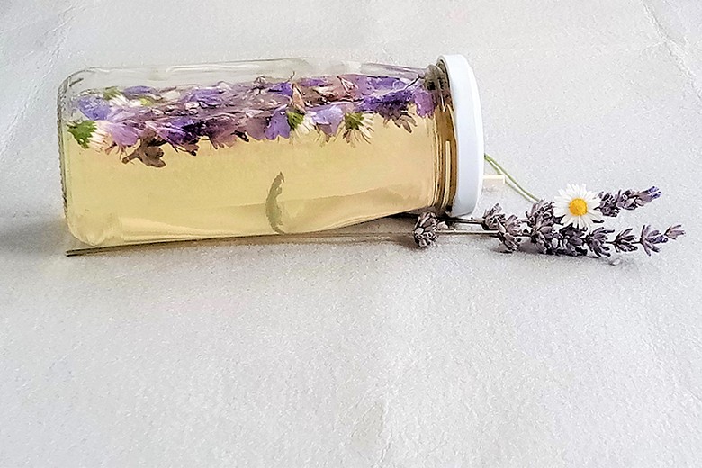 Salbei-Gänseblümchen-Essig