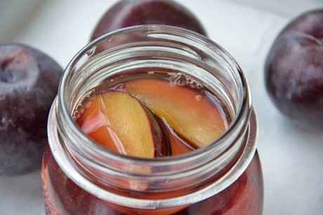 Eingelegte Rotwein-Zwetschken