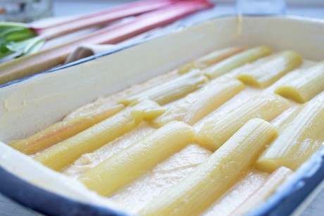 Einfacher Rhabarberkuchen