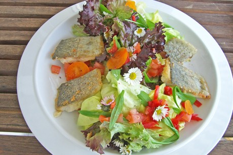 Salat mit Fischfilet