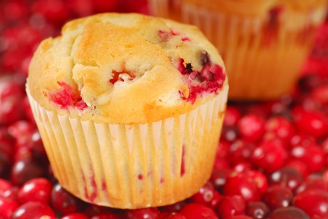 Saftige Preiselbeer-Muffins