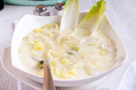 Chicoréesuppe