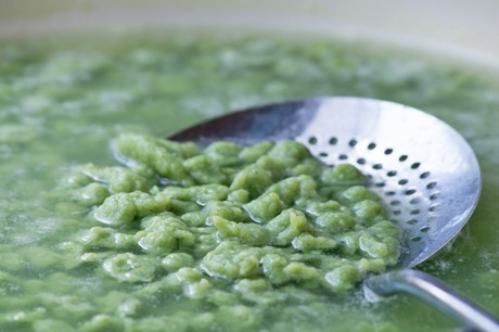 Spinatspätzle
