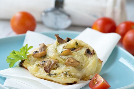 Pilz-Schnecken