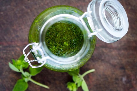 Oregano-Pesto