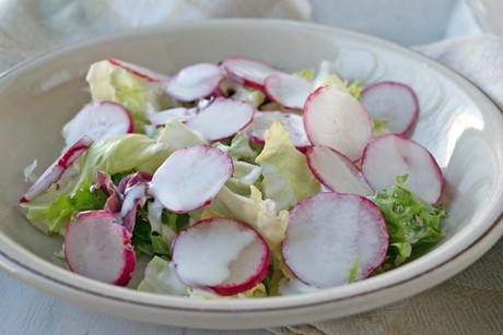 Grüner Salat mit Radieschen