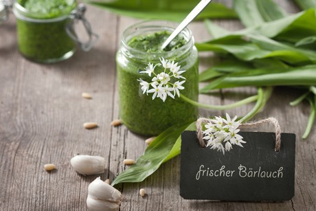 Einfaches Bärlauchpesto