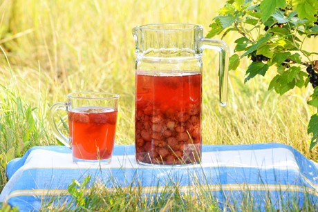 Beschwipste Erdbeeren