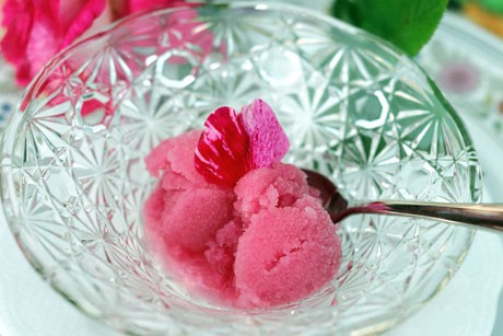 Rosensorbet