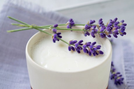 Lavendel Panna Cotta