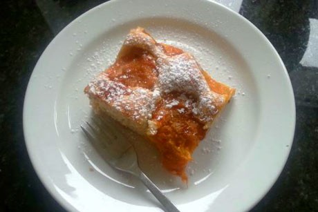 Marillen Blechkuchen mit Joghurt