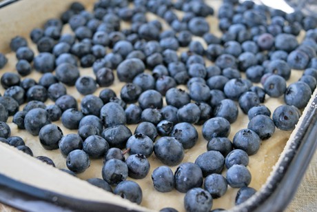 Schwarzbeerkuchen