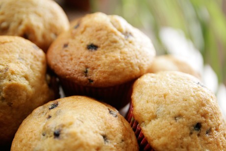 Helle Muffins mit Schokostückchen
