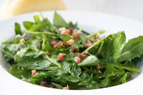 Löwenzahnsalat mit gebratenem Speck
