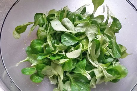 Vogerlsalat