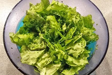 Kopfsalat mit Schnittlauch