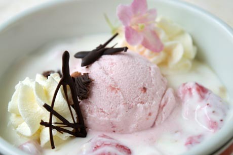 Erdbeereis mit Naturjoghurt und frischen Erdbeeren