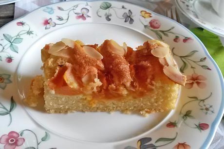 Marillenkuchen mit gehobelten Mandeln
