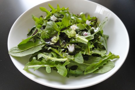 Löwenzahn-Salat mit Kürbiskernöl-Dressing