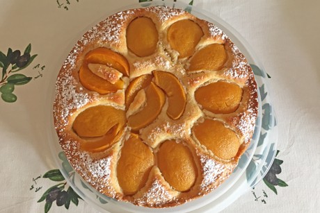 Pfirsichschlupfer