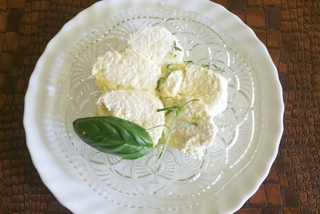 Frischkäse Paneer