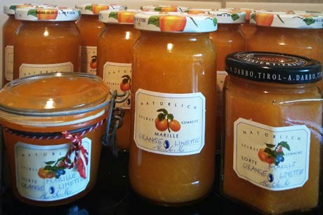 Marillen-Mix Marmelade (zuckerreduziert)