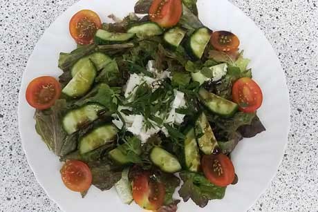 Salatteller mit Kräuter
