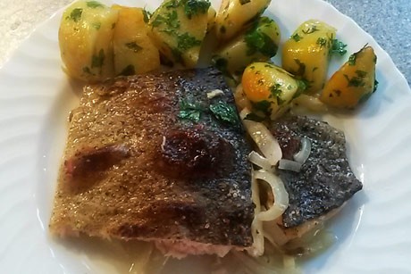 Gegrillte Lachsforelle