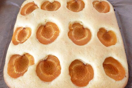 Marillenkuchen