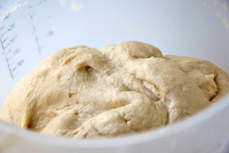 Falscher Germteig