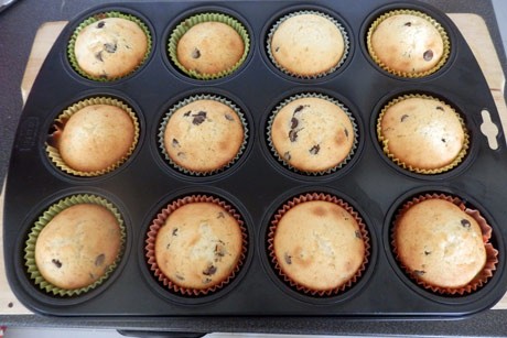 Muffins mit Schokotröpfchen