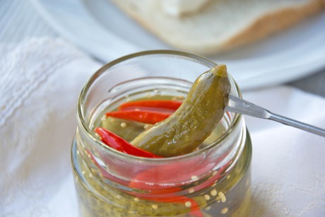 Scharfes Gürkchen