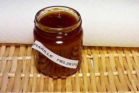 Marillen-Melone-Marmelade