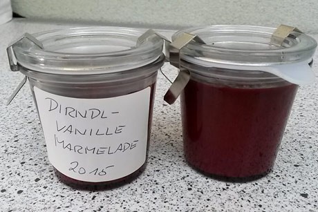 Dirndl-Vanille-Marmelade