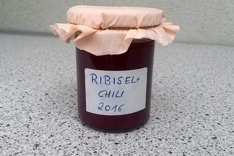 Ribiselmarmelade mit Chili