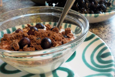 Naturjoghurt mit blauen Trauben