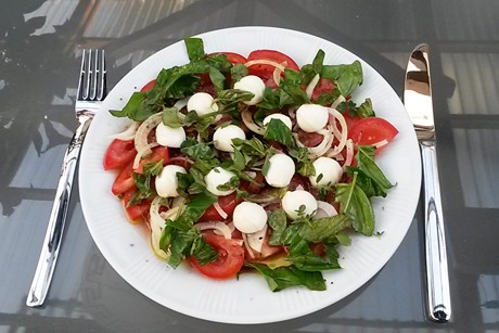 Tomaten-Mozzarella mit Zwiebel