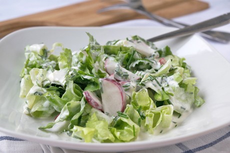 Joghurt-Salatdressing
