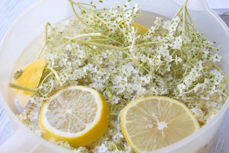 Holunderblütensirup