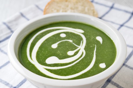 Spinat-Käse-Suppe