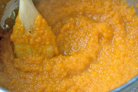 Kürbis-Kokos-Mus