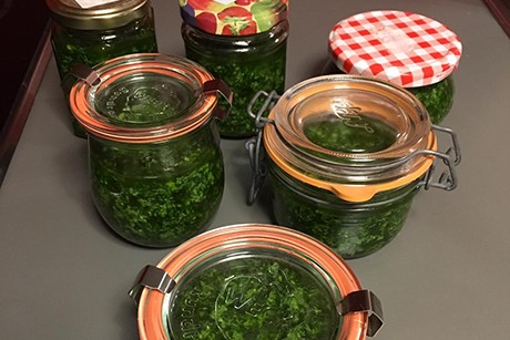 Walnuss-Bärlauchpesto